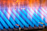Bramling gas fired boilers